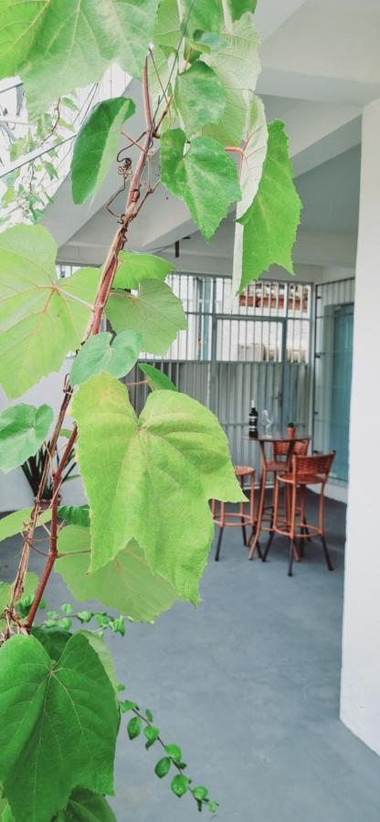 סלבאדור Apartamento Vila Aconchego Salmao מראה חיצוני תמונה